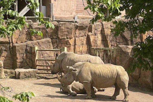 Zoo Osnabrück in Osnabrück