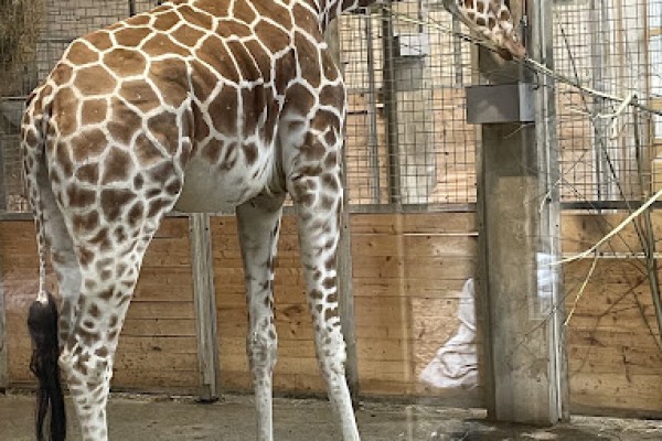 Zoo Osnabrück in Osnabrück
